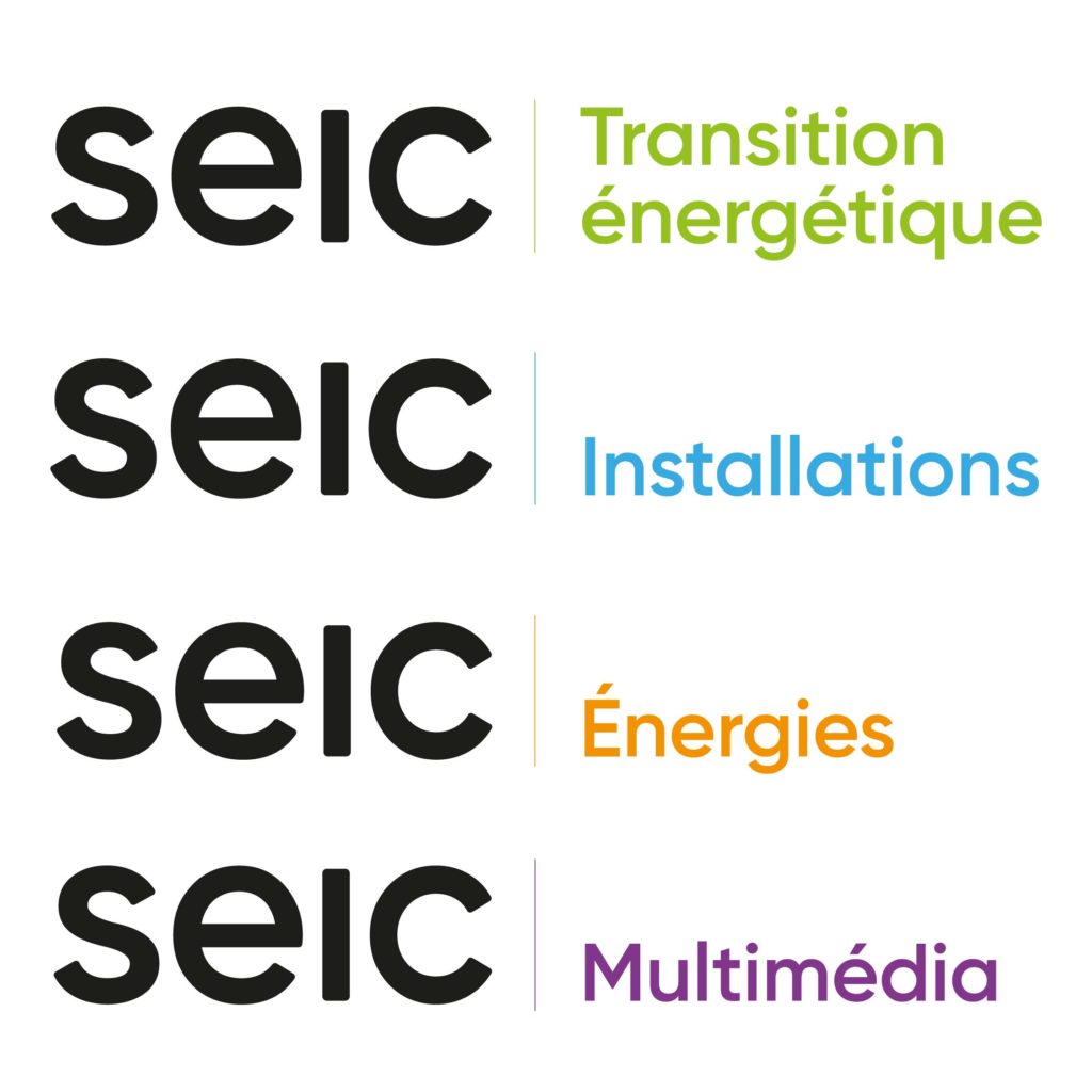 SEIC logo branches